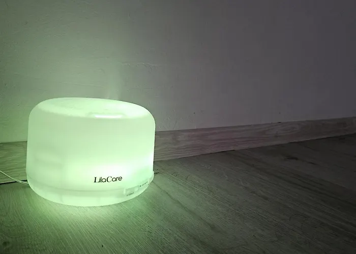 To The Nerversea Beach! *